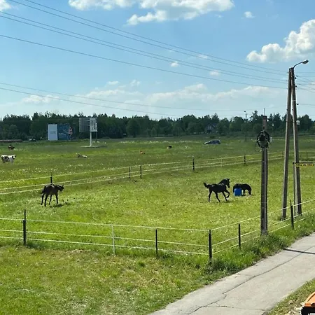 Osada Marcowa - Niebieski Z Sauna & Jacuzzi 샬레 자코파네