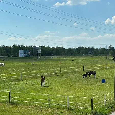 Osada Marcowa - Niebieski Z Sauna & Jacuzzi 샬레 *