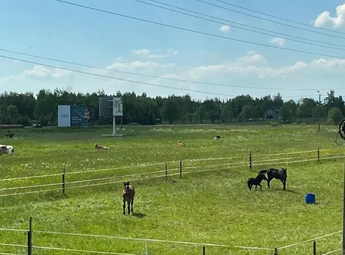 Osada Marcowa - Niebieski Z Sauna & Jacuzzi 木屋 *